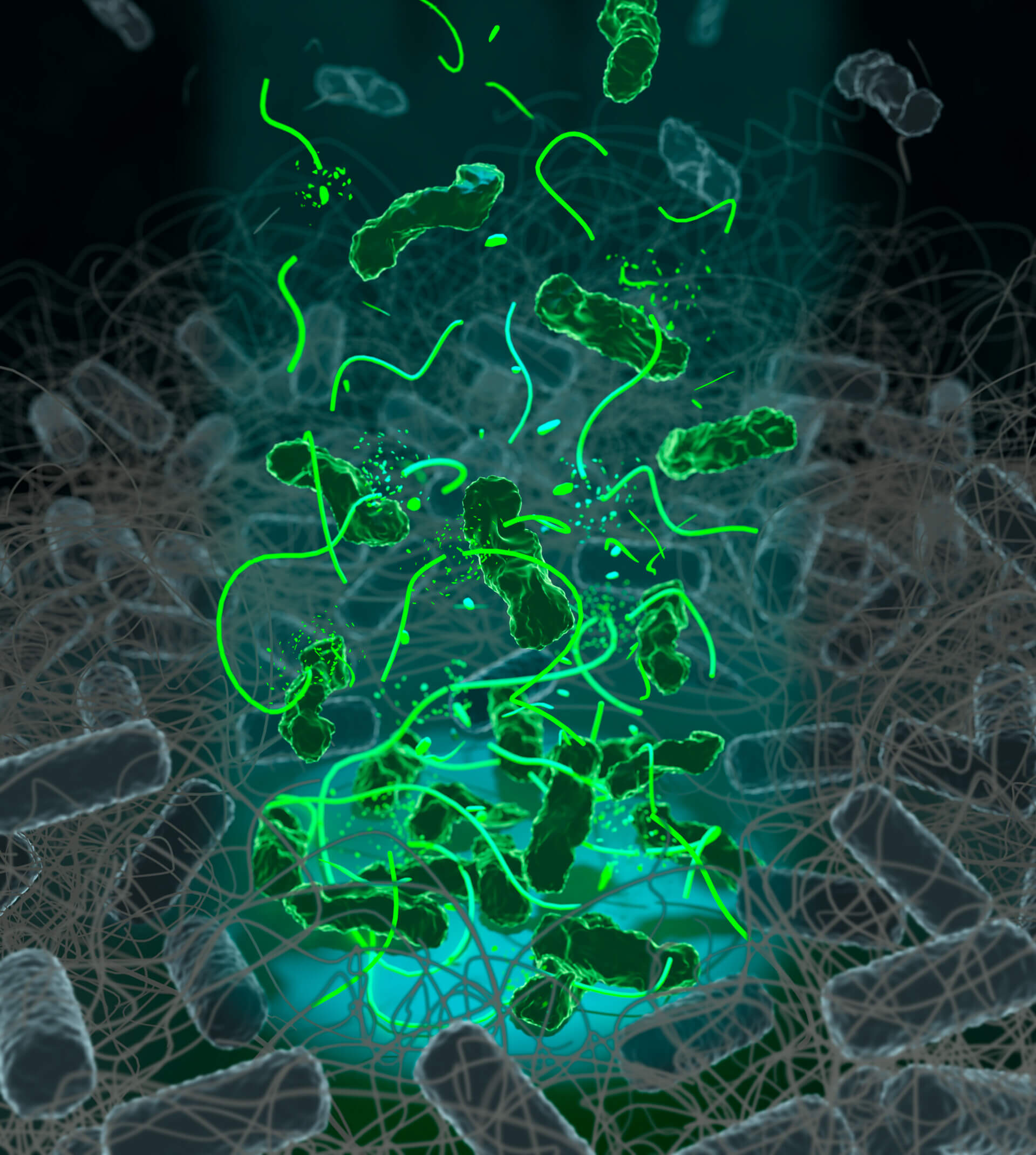 New weapon against antibiotic-resistant bacteria: Light - activatable molecules

