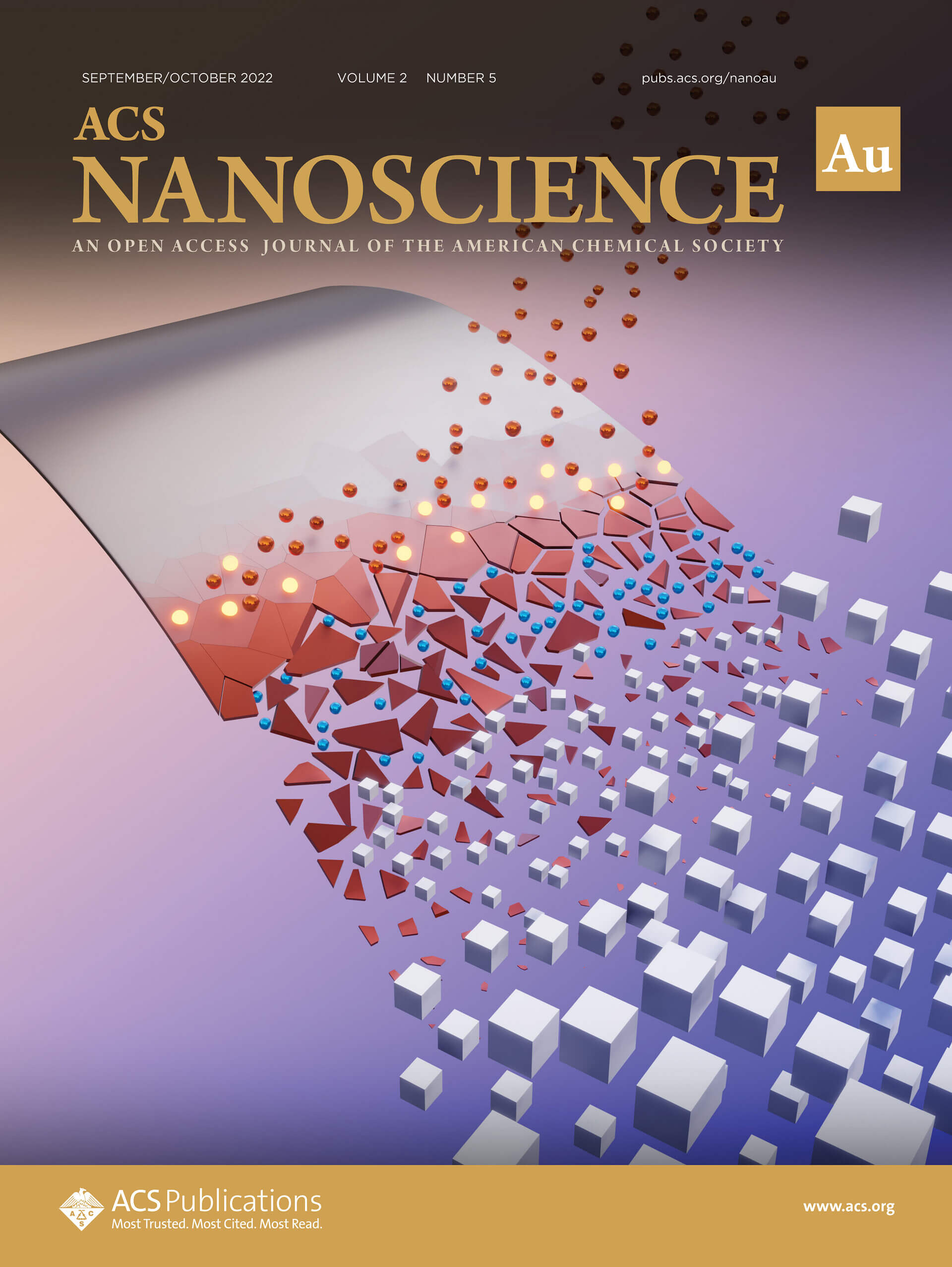 Nanoscale View of Amyloid Photodynamic Damage