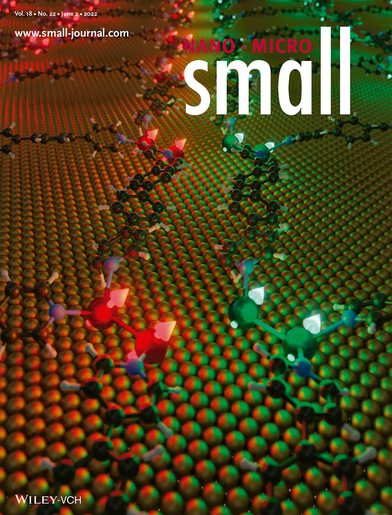 Nanoscale View of Amyloid Photodynamic Damage