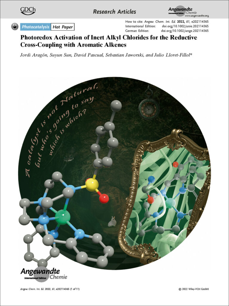 Journal Cover-angewandte chemie-catalyst and protein