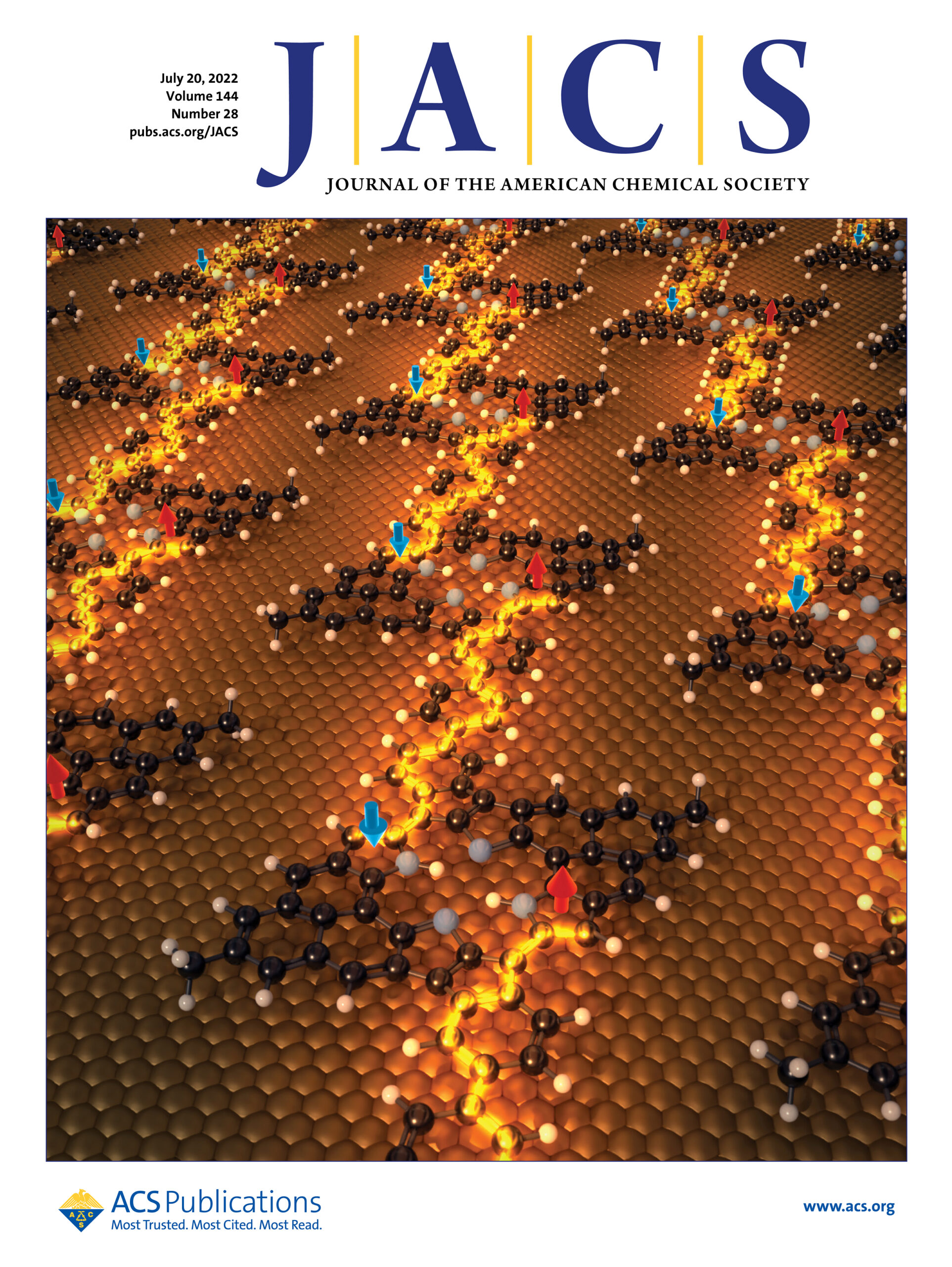 Nanoscale View of Amyloid Photodynamic Damage