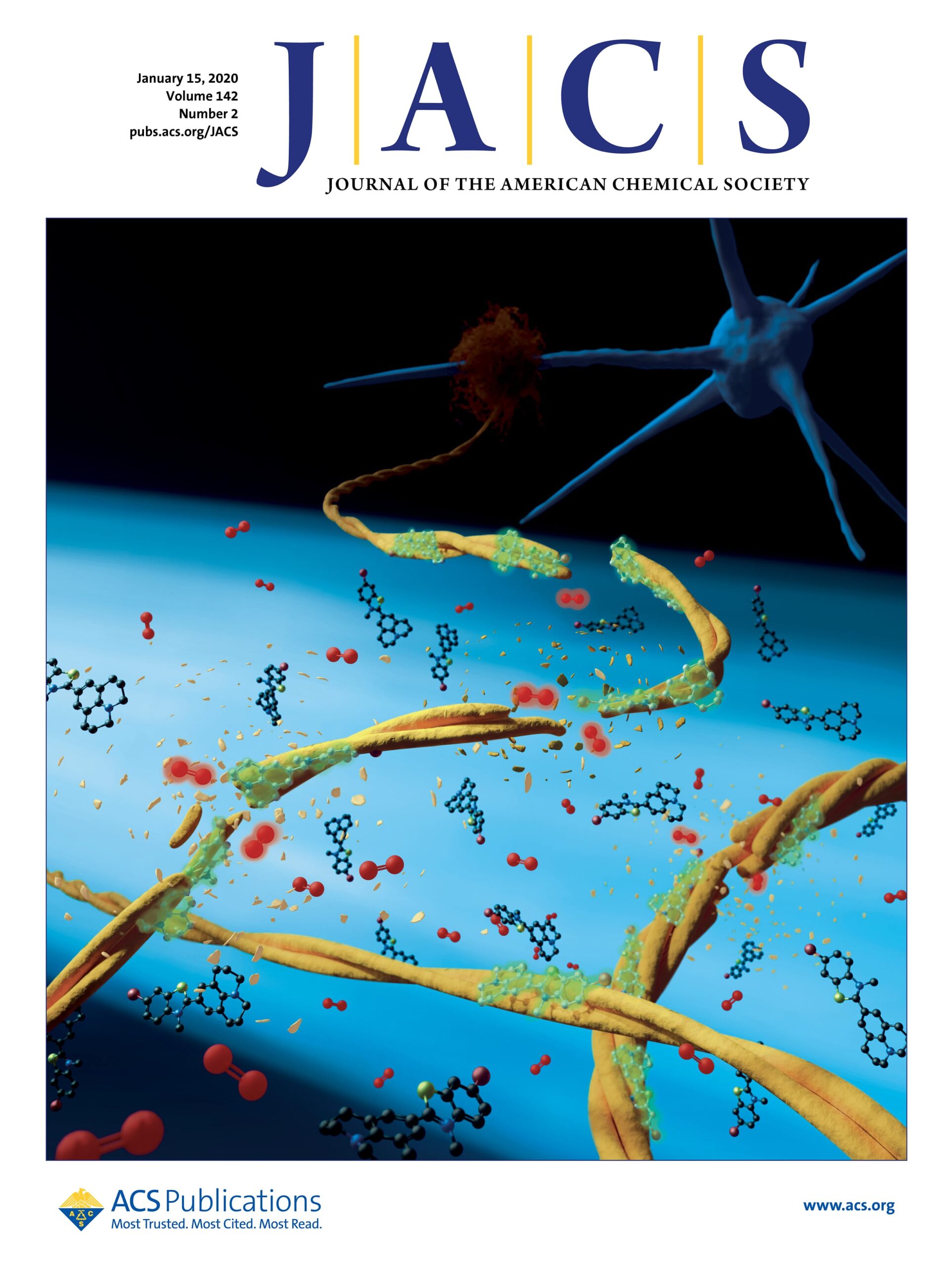 Nanoscale View of Amyloid Photodynamic Damage