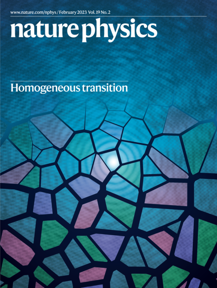 Ultrafast X-ray imaging of the light-induced phase transition in VO2