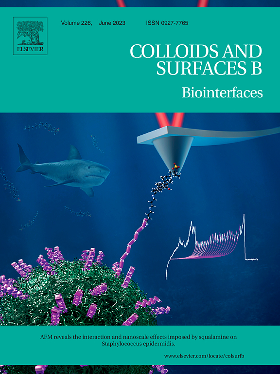 Journal Cover-Colloids and Surface B-Biointerfaces-AFM reveals the interaction and nanoscale effects imposed by squalamine on Staphylococcus epidermidis