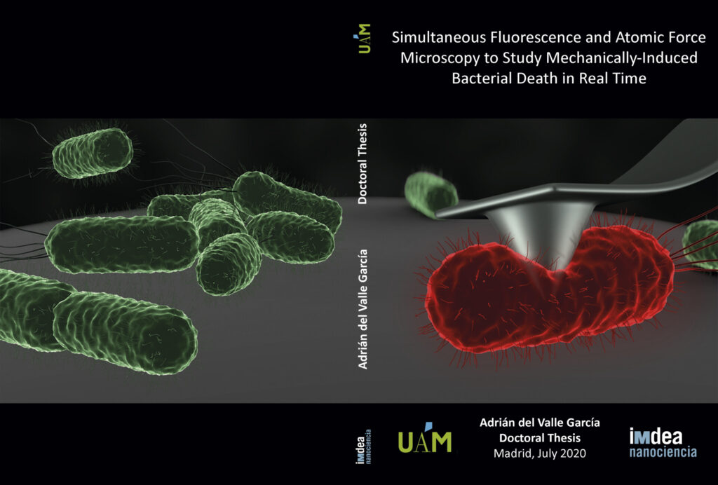 Scientific illustration, thesis cover of Adrian del Vale-AFM