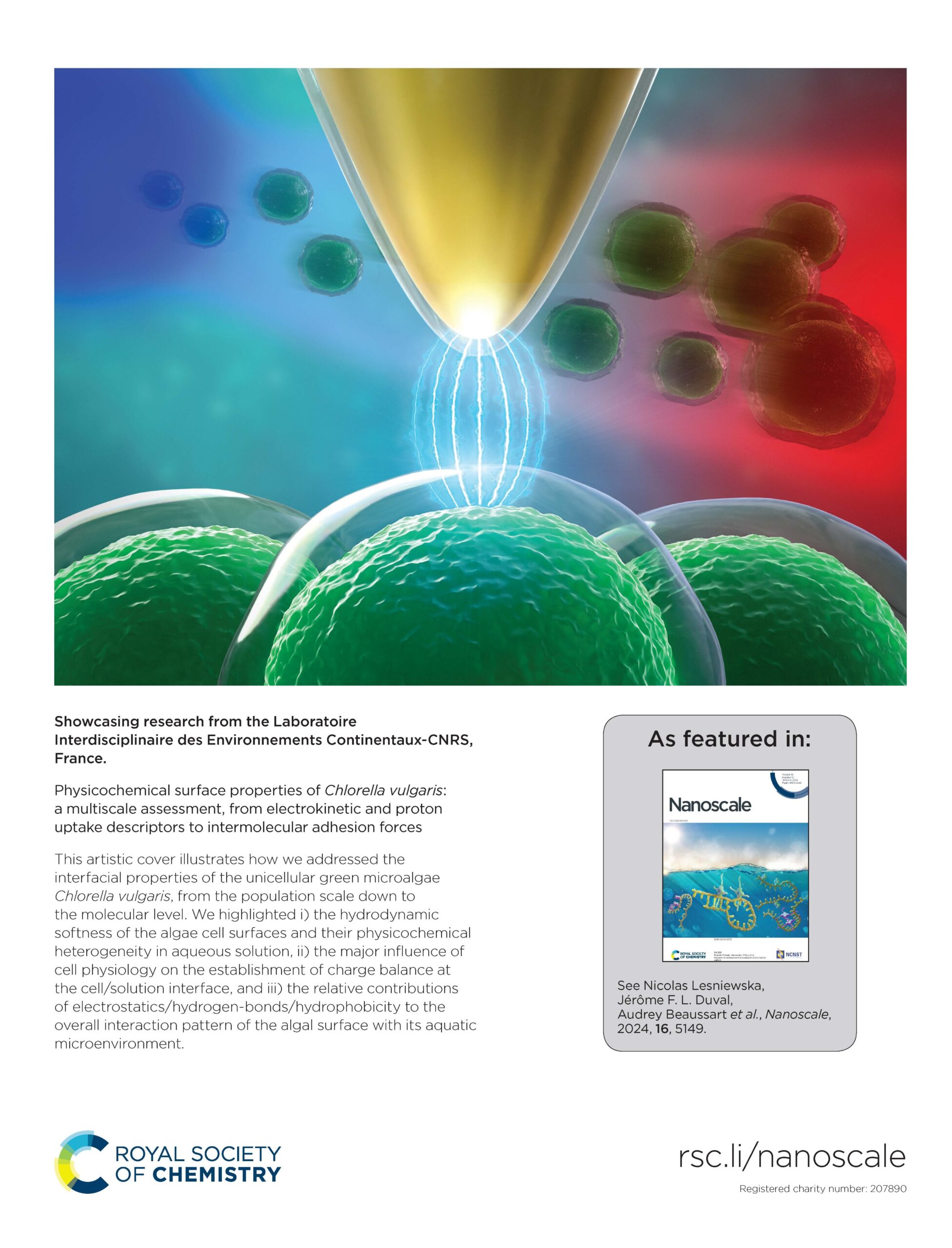 Physicochemical surface properties of Chlorella vulgaris: a multiscale assessment, from electrokinetic and proton uptake descriptors to intermolecular adhesion forces