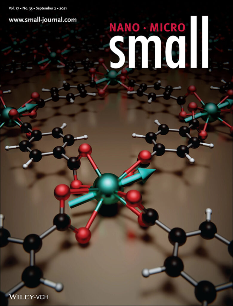 Journal Cover -Small-Magnetic Anisotropy of Lanthanides