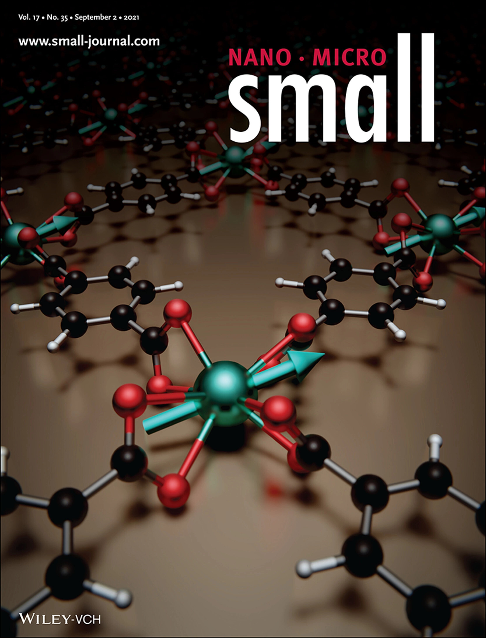 Nanoscale View of Amyloid Photodynamic Damage